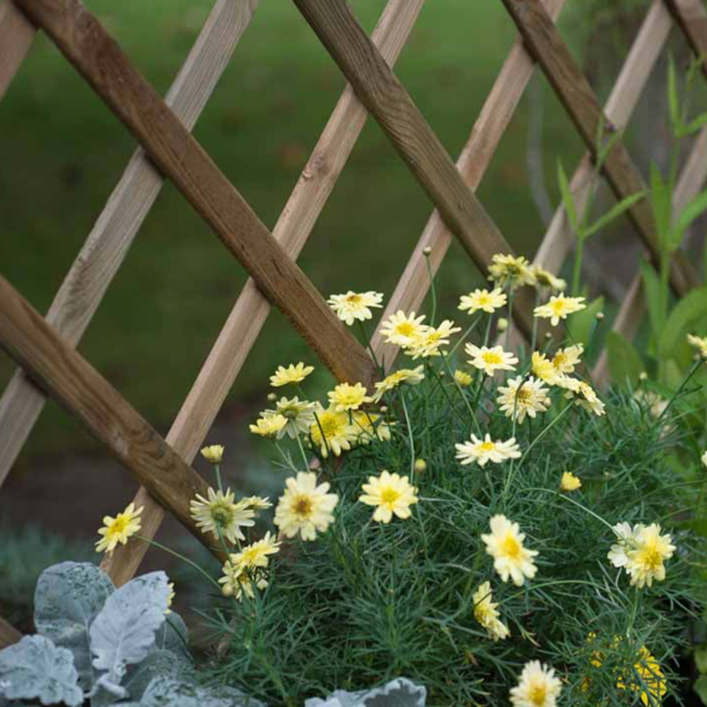 Forest Garden Timber Outdoor Venice Planter 180 x 50cm Image 4