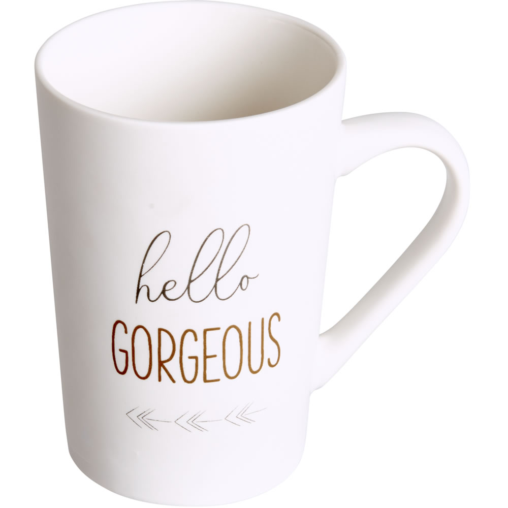 Wilko Hello Gorgeous Mug 6 pack Image 2