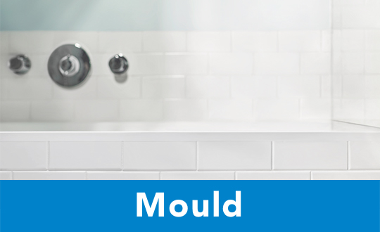 HG Mould cleaning products
