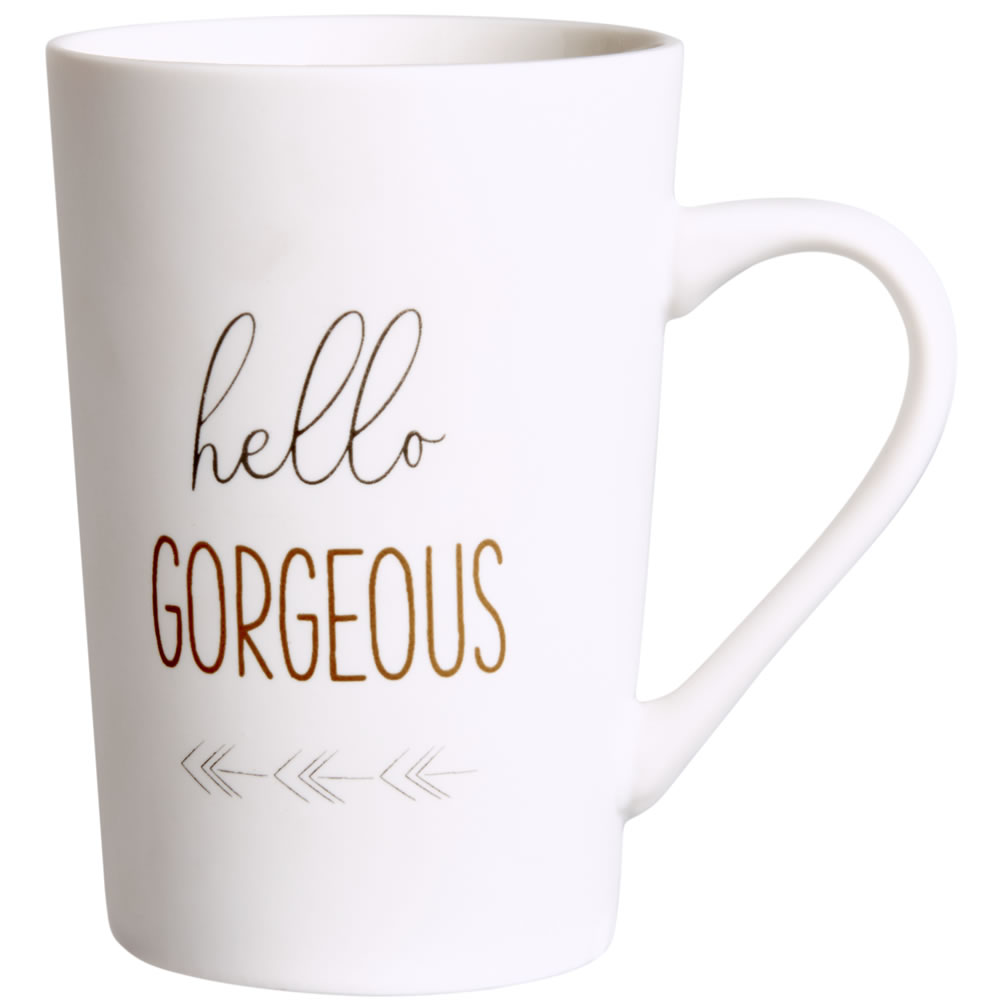 Wilko Hello Gorgeous Mug 6 pack Image 1