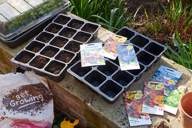 What to do in the garden in May