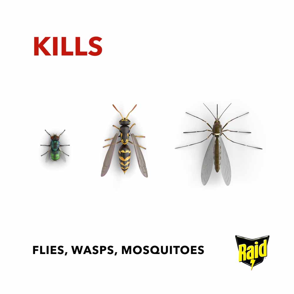 Raid Eucalytus Fly/Wasp/Mosquito Killer 300ml Image 4