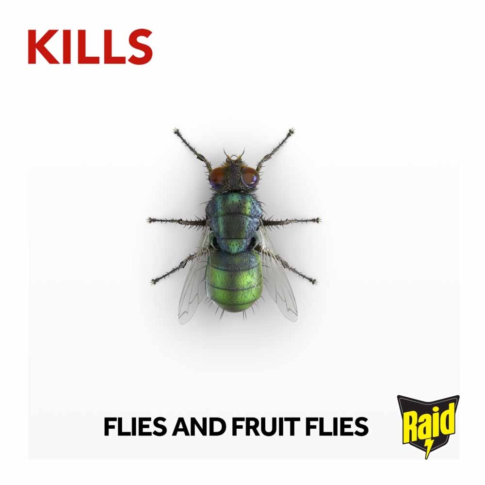 Raid Fly Killer Window Sticker Image 5