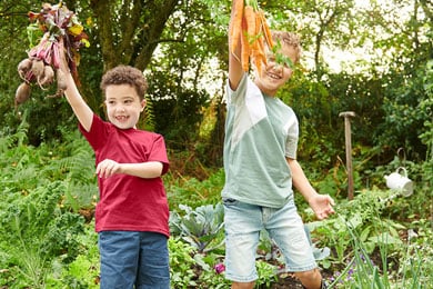 How to grow your own fruit and veg