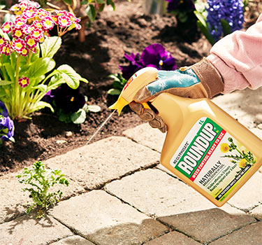 Fast Acting Weedkillers