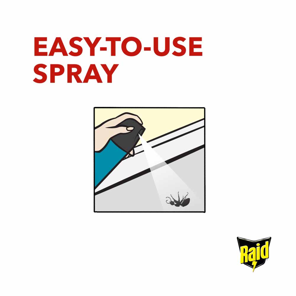 Raid Eucalytus Fly/Wasp/Mosquito Killer 300ml Image 7