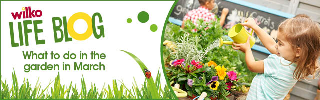 Garden Outdoor Living Gardening Supplies More Wilko Com