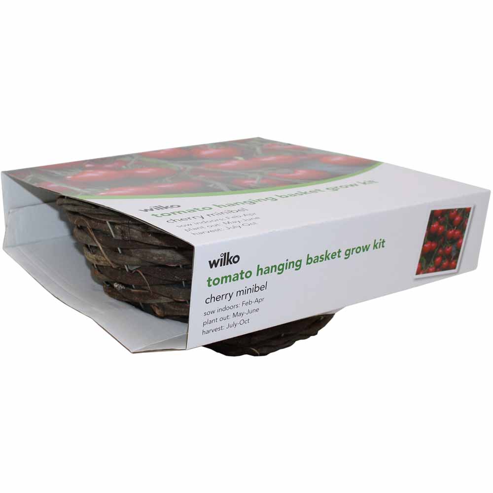 Wilko Cherry Tomato Hanging Basket 30 x 30 x 16cm Wilko