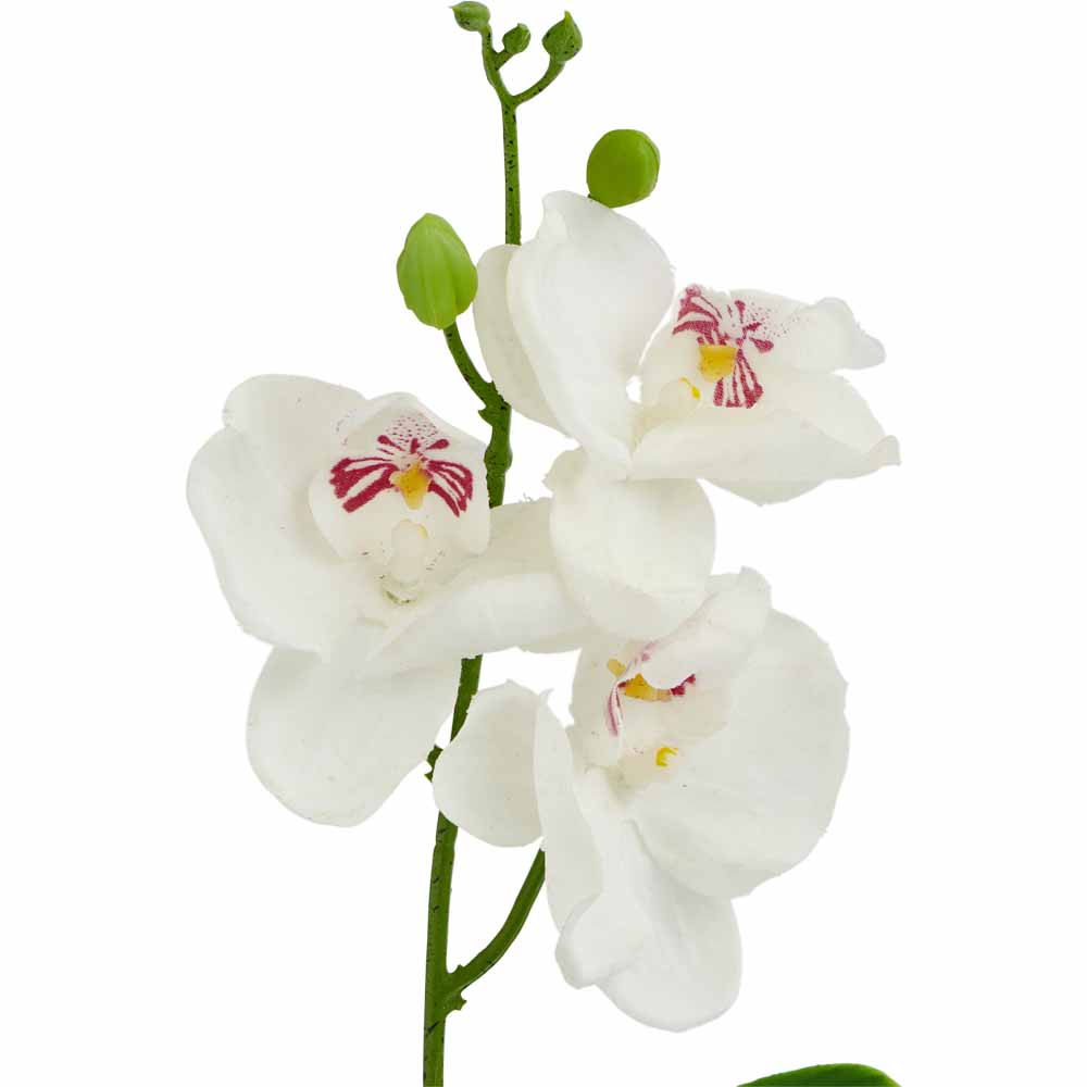 Wilko Orchid in Silver Pot Image 3