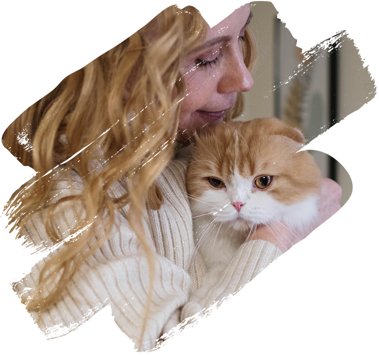 Pet insurance
