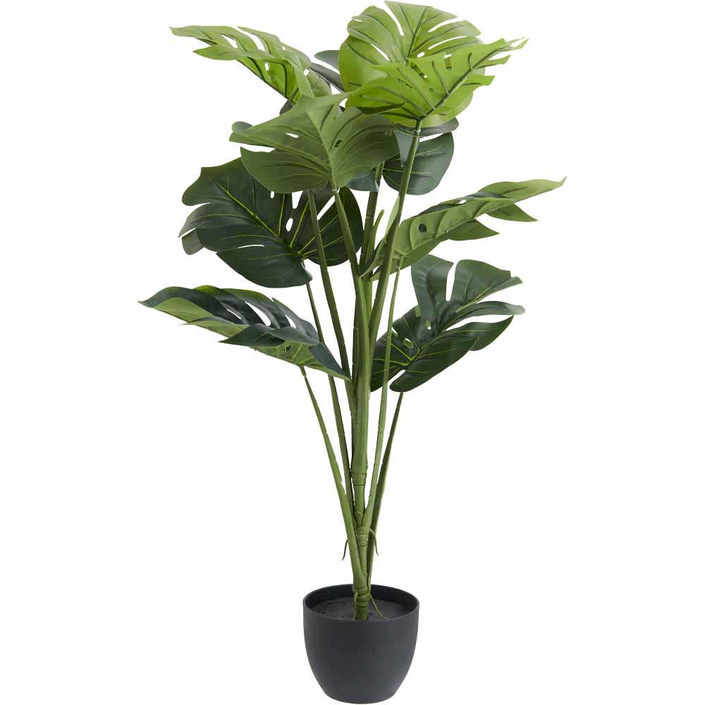 Wilko Large Cheese Plant In Pot Plastic 35%, Cement 25%, Styrofoam 30%, Sand, Rope