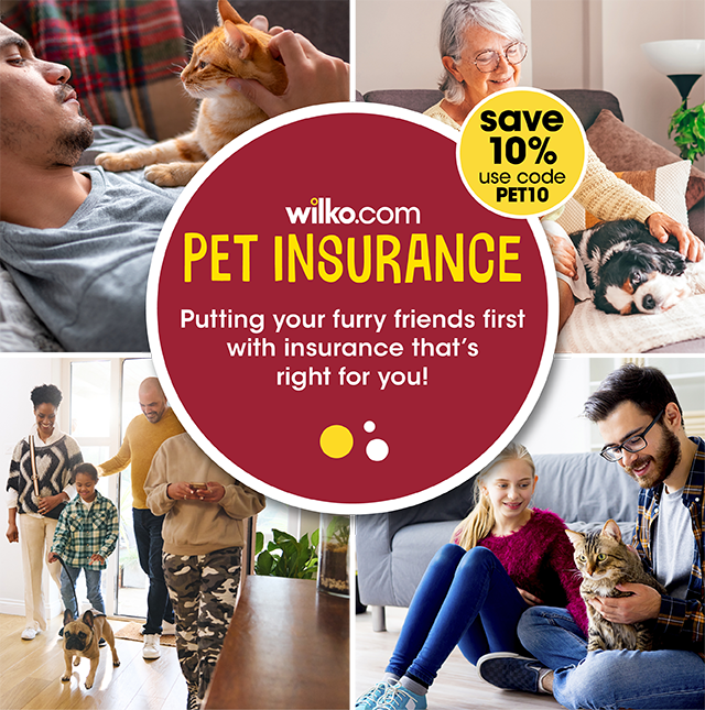 Pet insurance