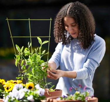 How to maintain your garden fences