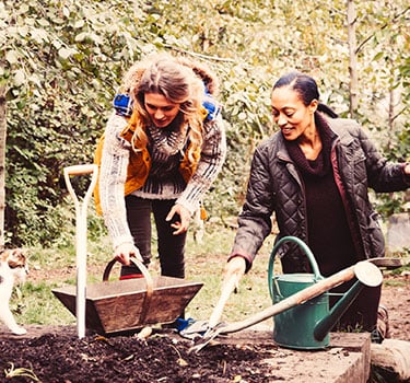 What to do in your garden in November