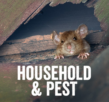 Household Pest