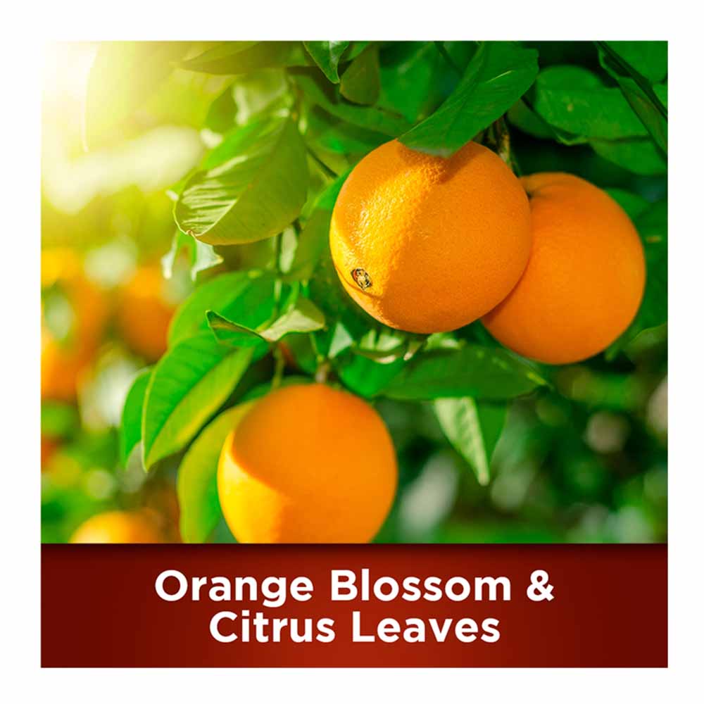 Botanicals Original Fabric Conditioner Fresh Orange Blossom & Citrus Leaves 960ml  Image 3