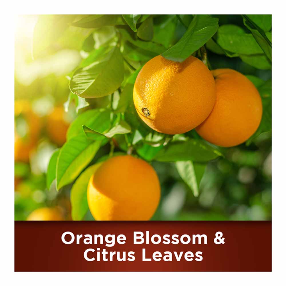 Botanical Origin Orange Blossom and Citrus Leaves Multipurpose Hard Surface Cleaner 500ml Image 3