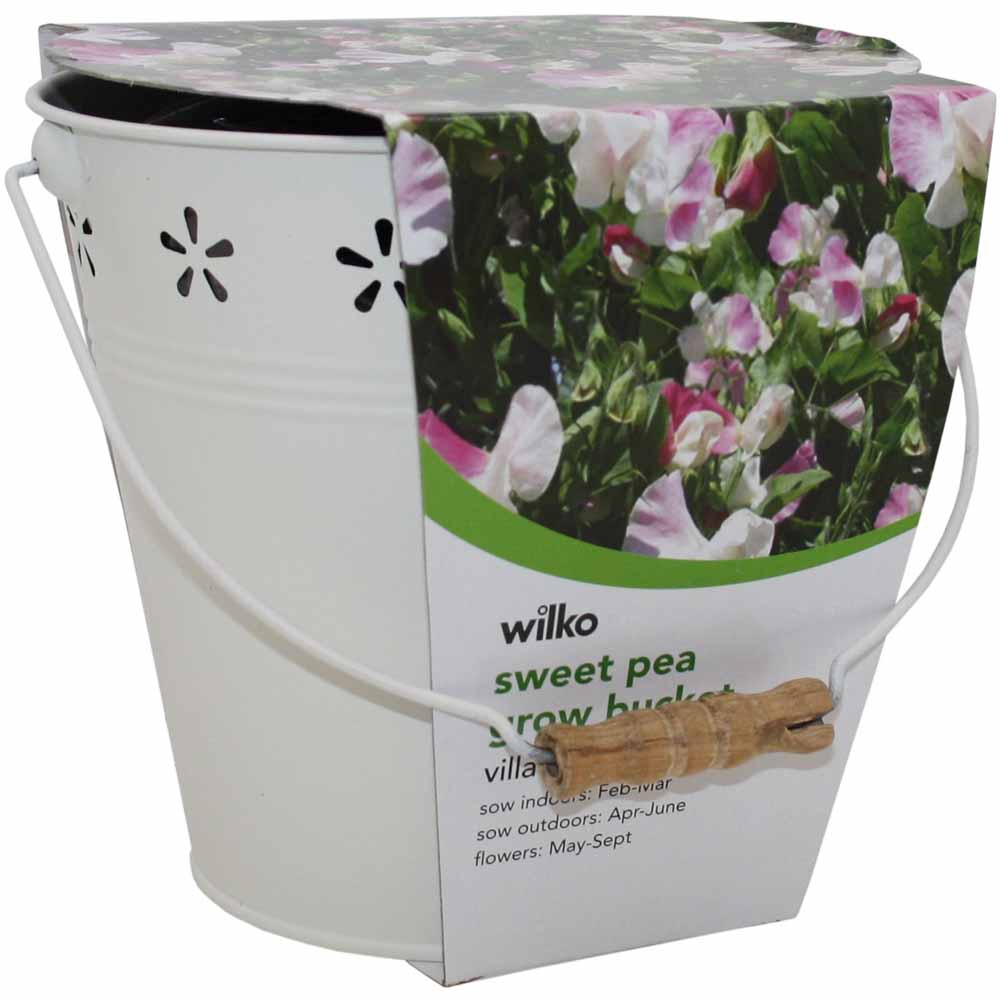 Wilko Summer Flower Bucket - Sweet Pea 18 x 18 x 17.5cm Image 3