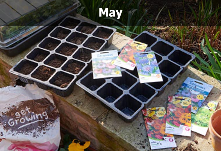 May garden to dos