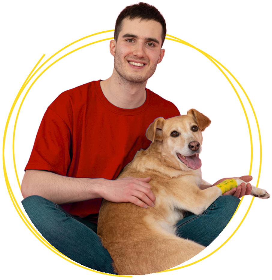 wilko Pet insurance