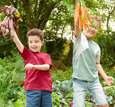 grow your own fruit and vegetables