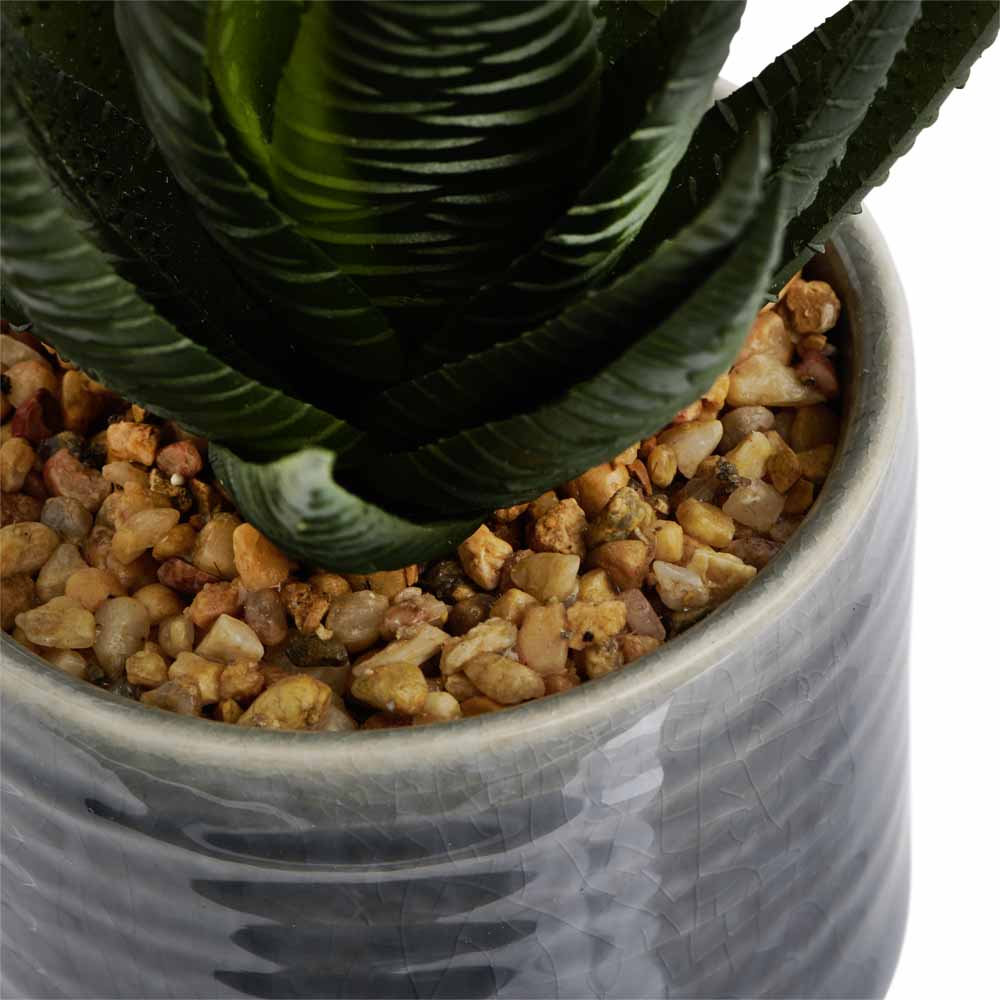 Wilko Succulent in Ceramic Pot Grey Image 2