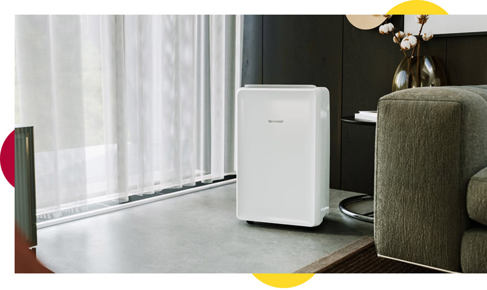 All you need to know about dehumidifiers