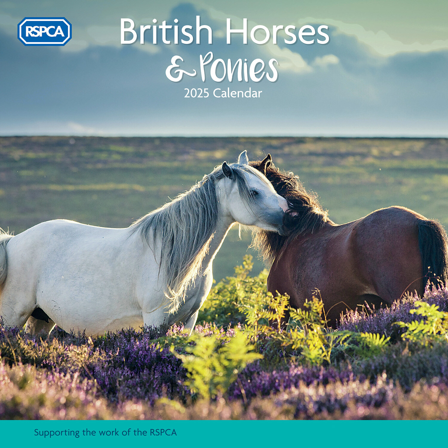 2025 RSPCA Horses and Ponies Wall Calendar Wilko