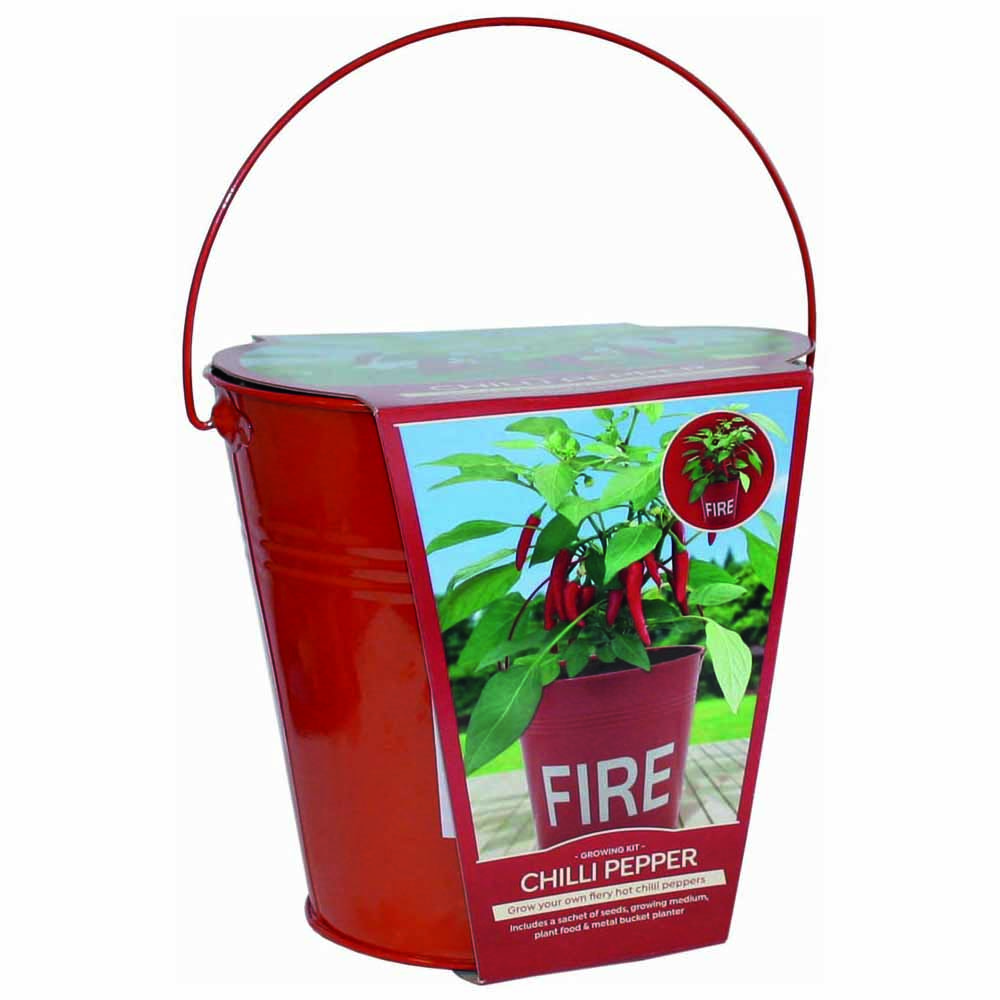 Wilko Metal Fire Bucket with Chilli Seeds Wilko