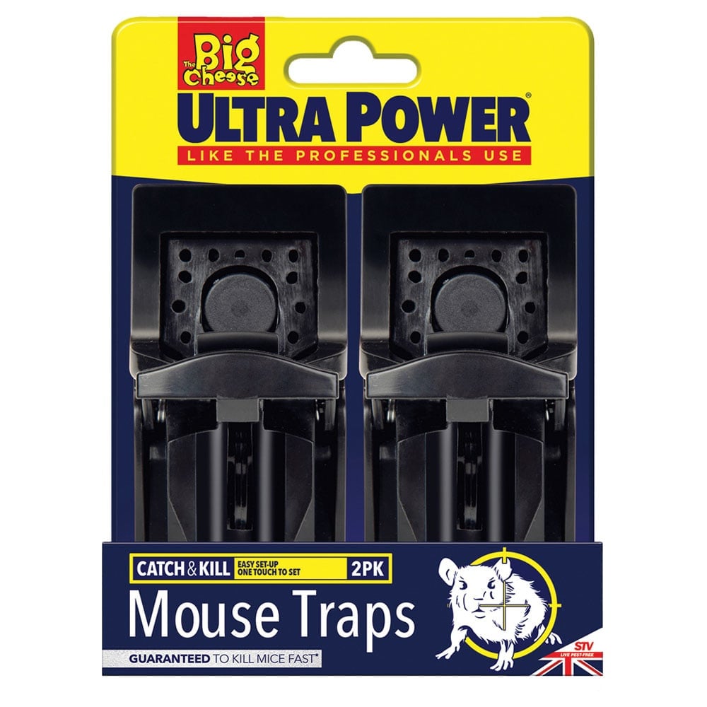 The Big Cheese Ultra Power Mouse Traps Wilko