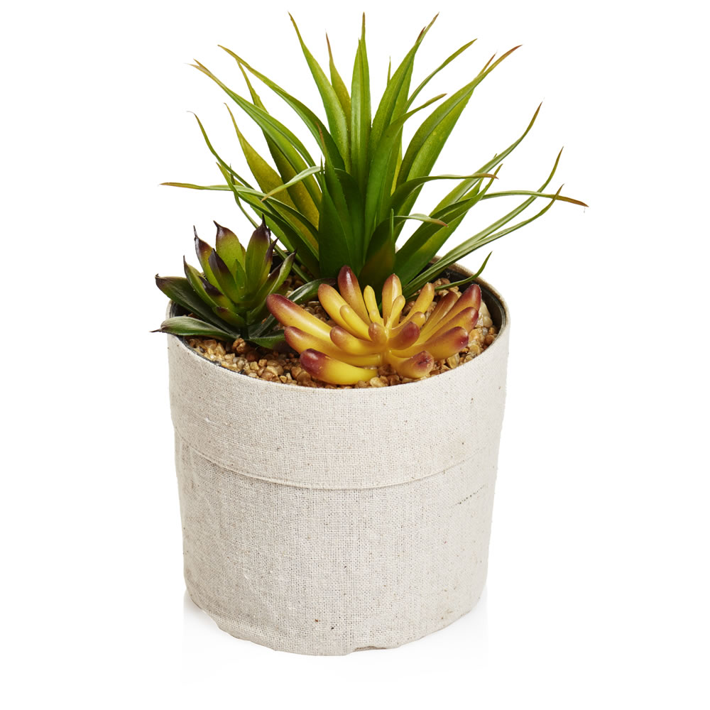 Wilko Artificial Succulent Plant in Fabric Pot Wilko