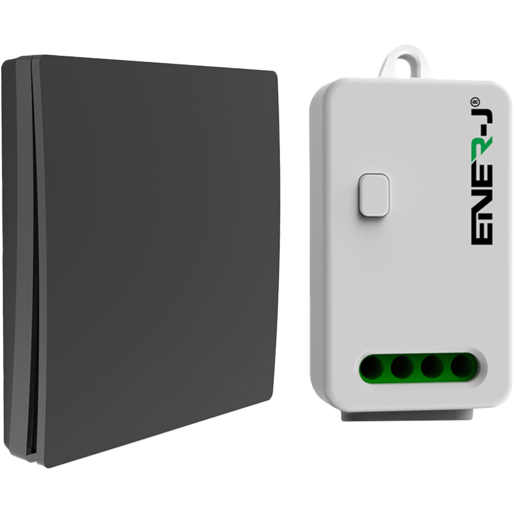 ENER-J ECO Single Gang Black Wireless Kinetic Switch and 500W RF ...