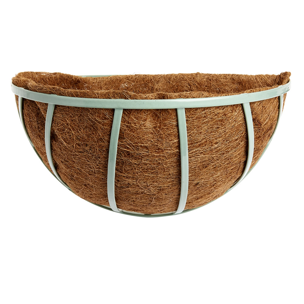 Wilko 35cm Wall Hanging Basket with Liner Wilko