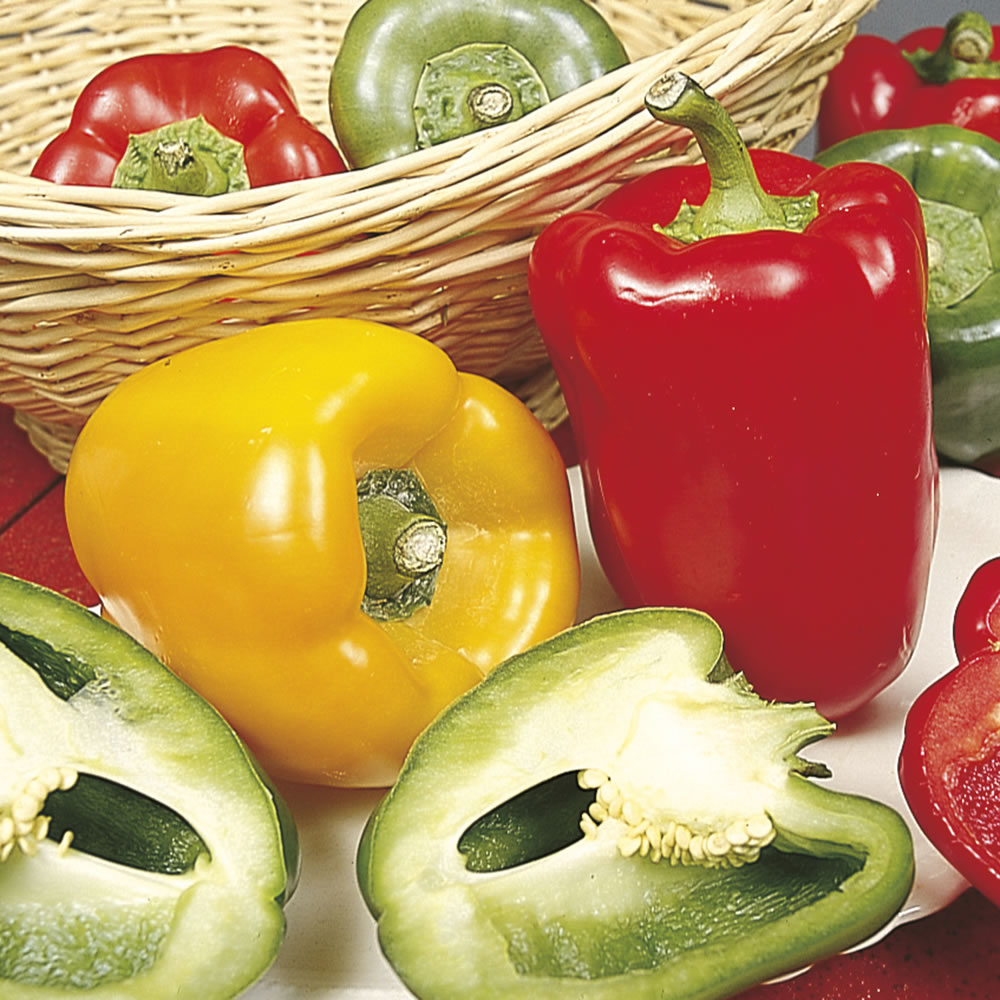 Wilko Pepper Sweet Patio Red Wilko