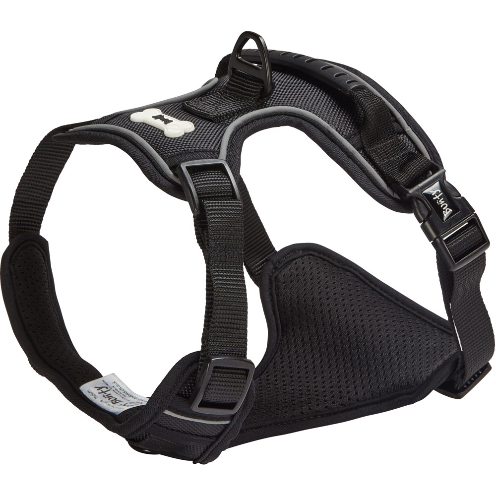 Bunty Adventure Large Black Harness Wilko