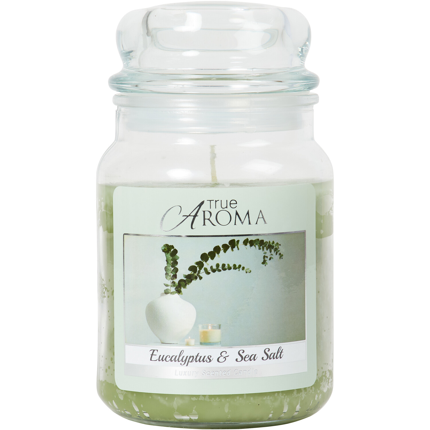 True Aroma Eucalyptus & Sea Salt Scented Mason Jar Candle Wilko