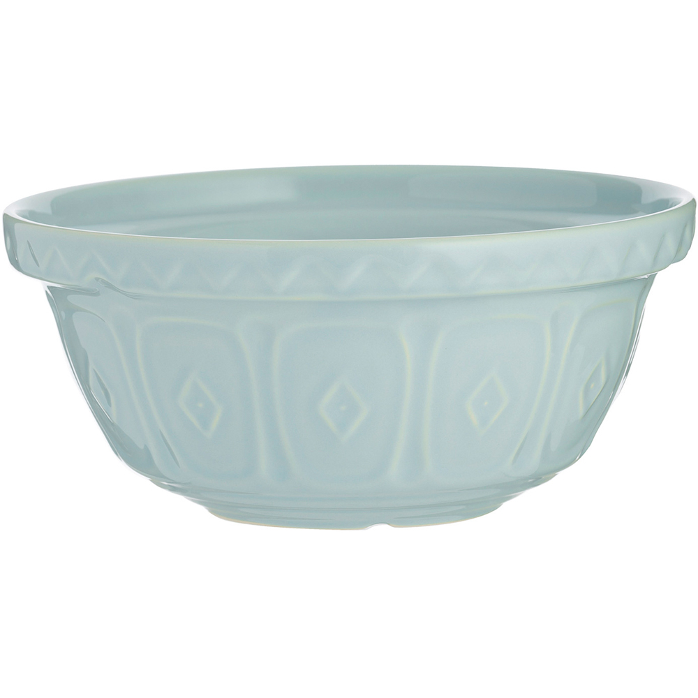 Mason Cash Blue Mixing Bowl Wilko