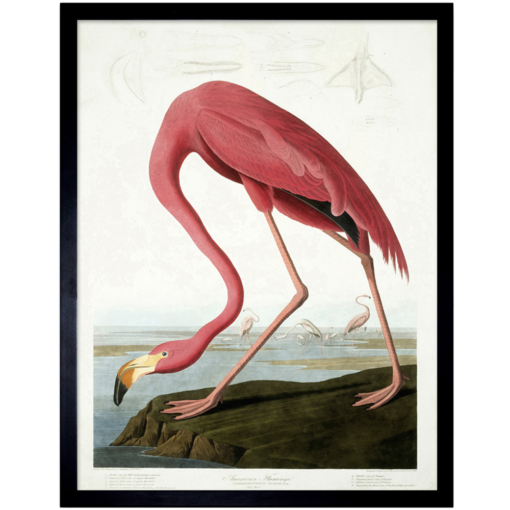 Wee Blue Coo Grußkarte – Flamingos Am Salt Lake, Aquarell-Design, 17,5x12,5 Cm, Für Geburtstag & Grüße