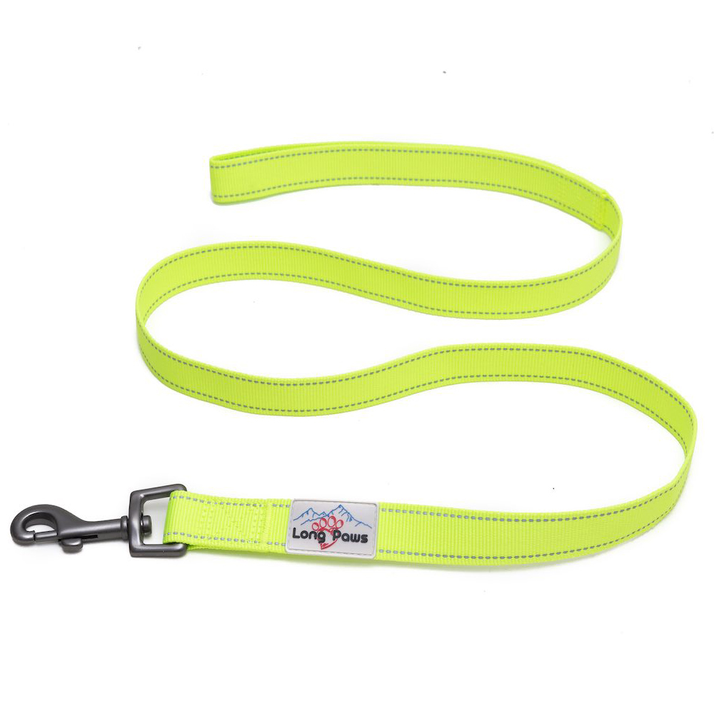 Long Paws Reflective bing Dog Leash Wilko