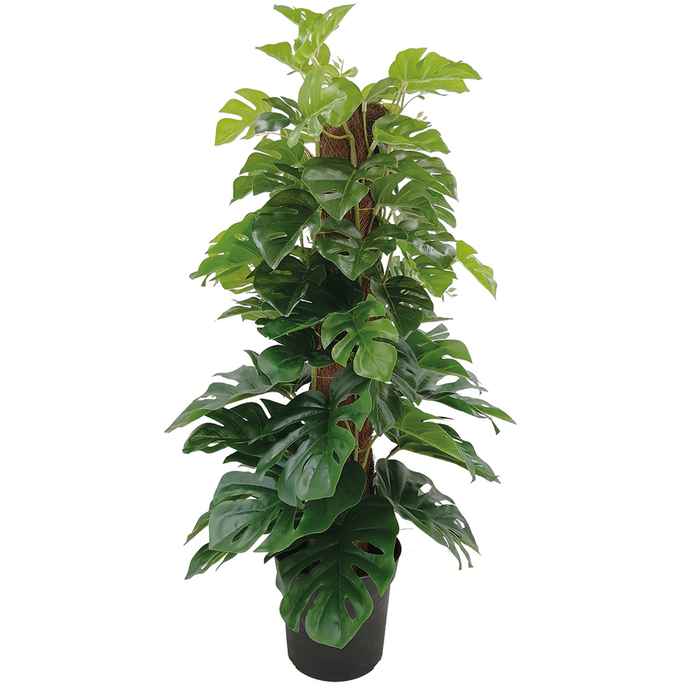 Premier Artificial Cheese Plant in Pot 60cm Wilko