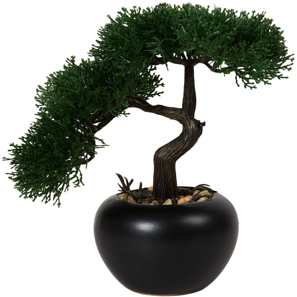 Bonsai Tree Black Wilko