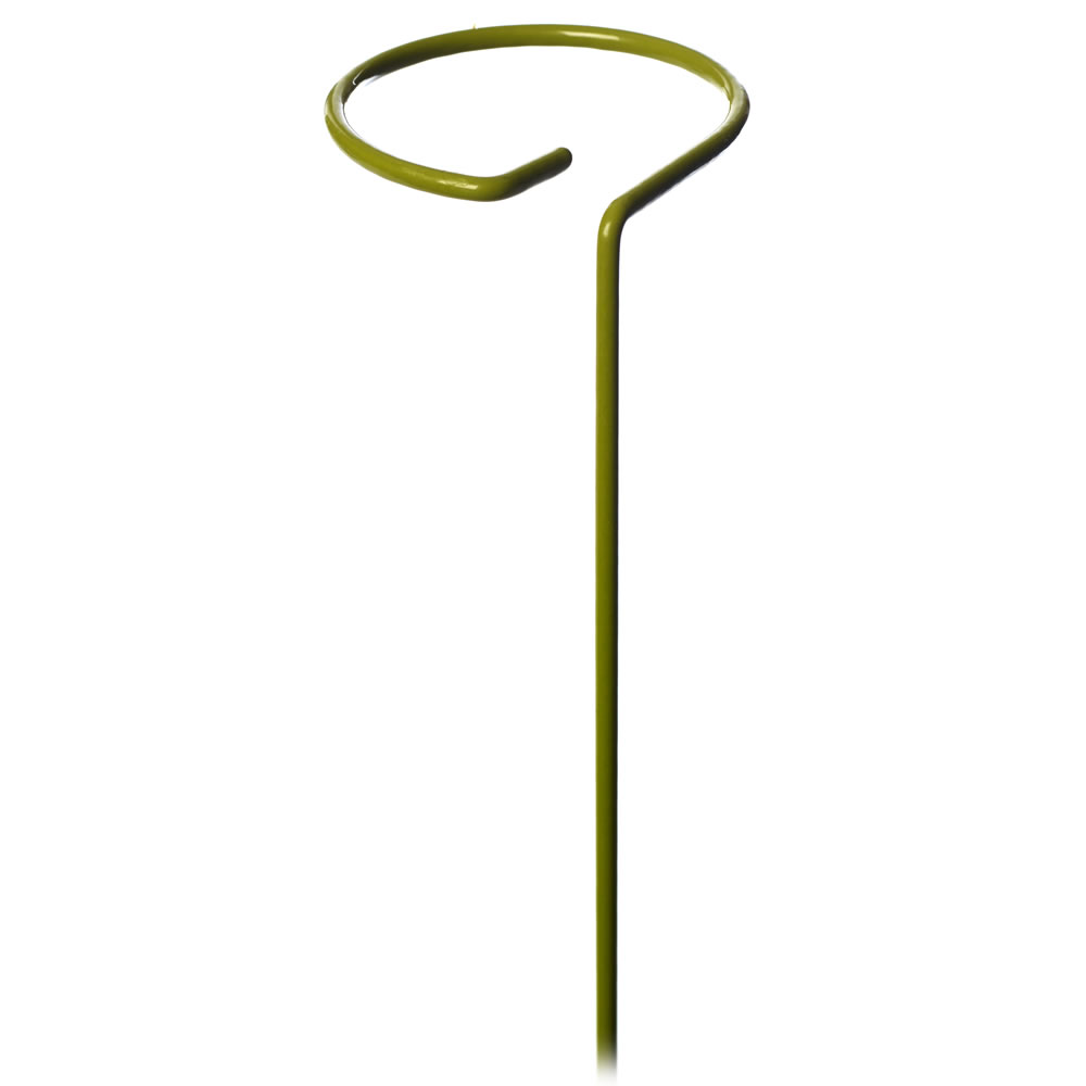 Wilko 61cm Single Stem Plant Support Garden Cane 3 Pack Wilko