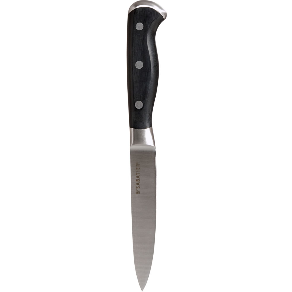 Sabatier Edge Keeper 4.5 inch Carving Knife Wilko