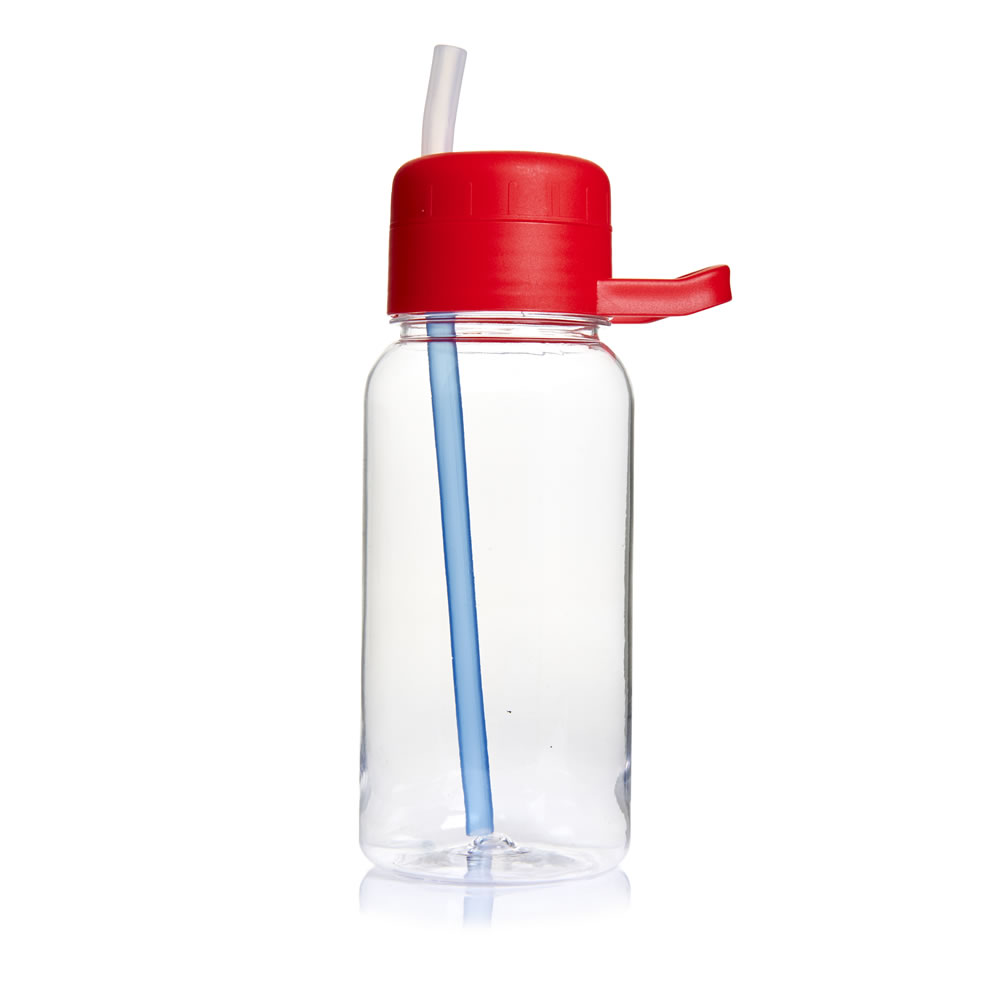 Wilko Bottle With Straw Wilko