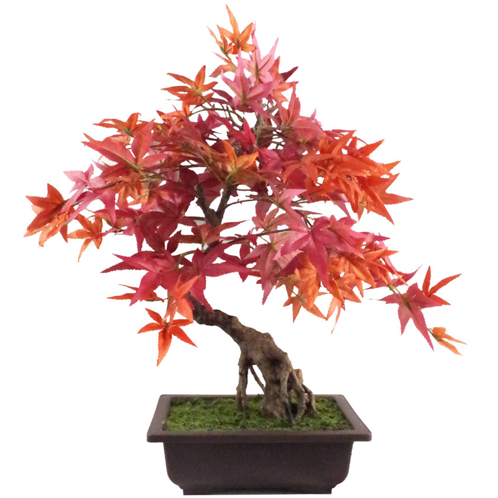 Botanik Red Maple Bonsai Artificial Tree in Pot 50cm | Wilko