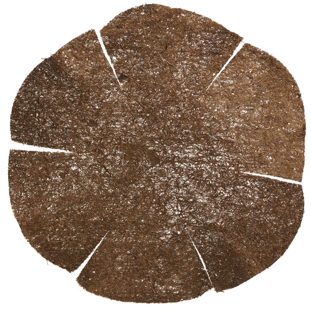 Wilko 35cm Brown Coco Fibre Hanging Basket Liner Wilko