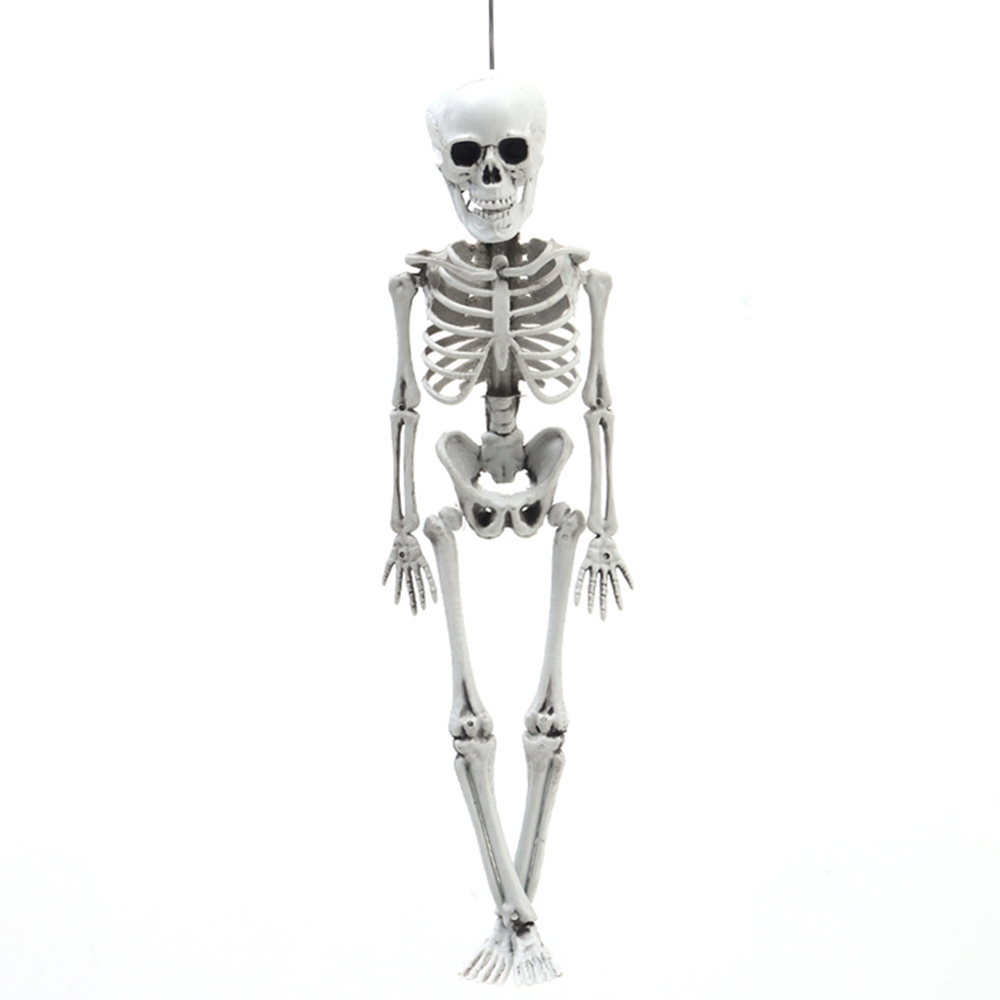Living and Home Halloween Realistic Poseable Skeleton 40cm