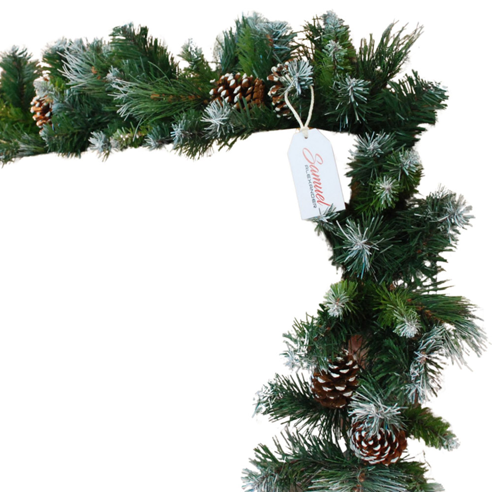 Samuel Alexander Frosted Glacier Christmas Garland with Pine Cones 270cm