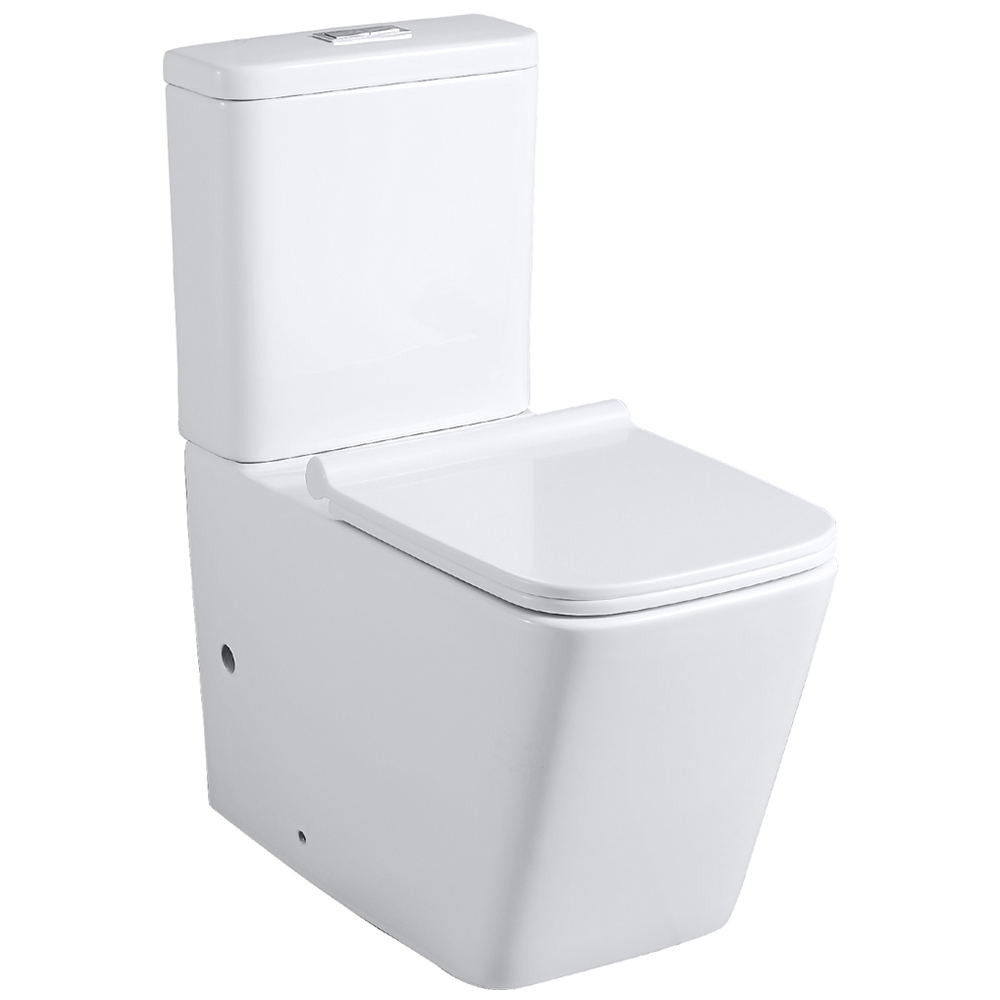 Limoge Medellin White Close Coupled Rimless Toilet Pan