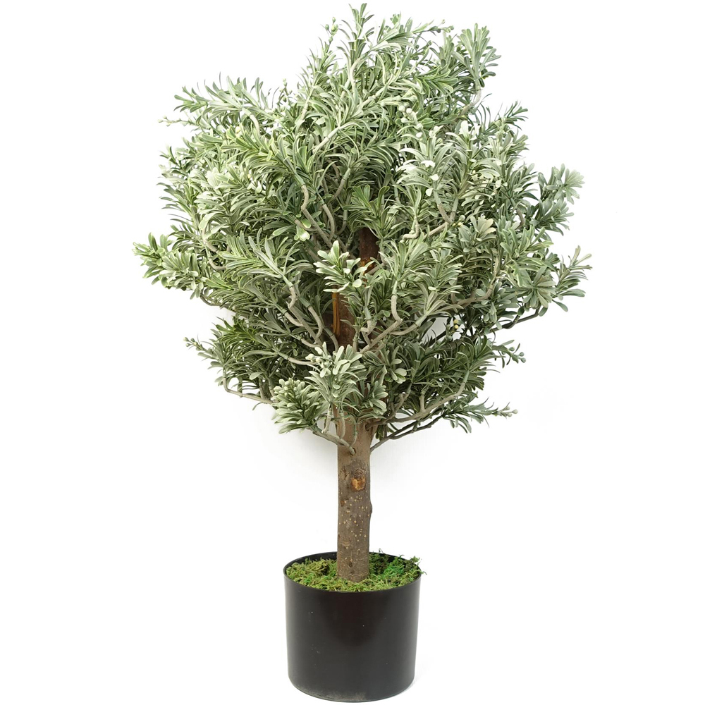 Botanik Large Artificial Boxwood Style Artemisa Topiary Plant 14cm